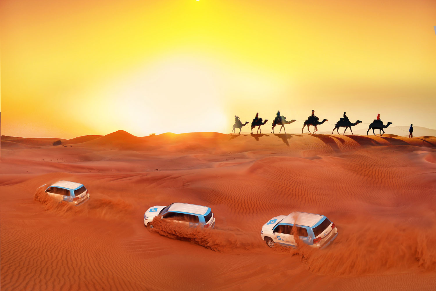 Dubai Desert Safari